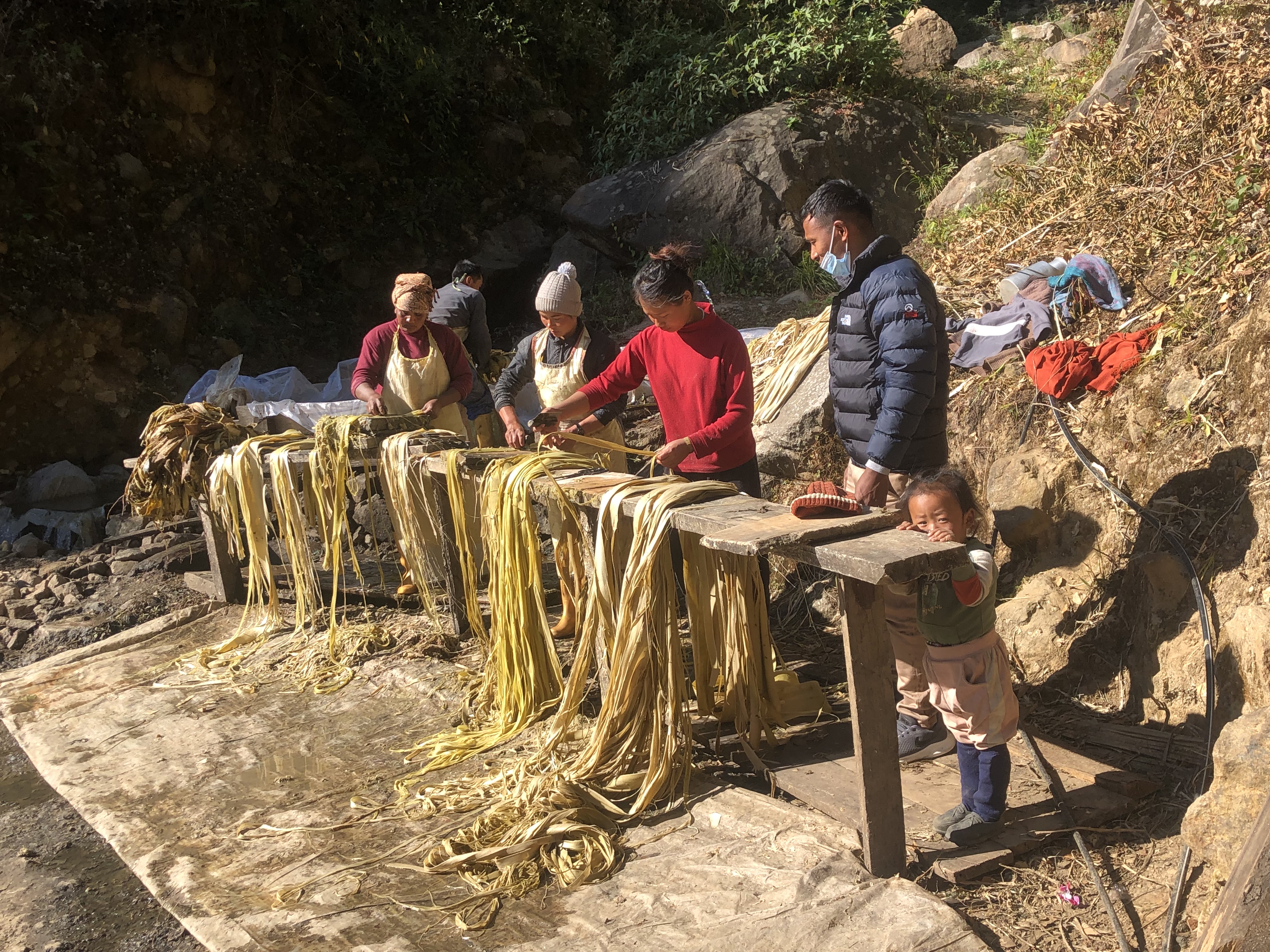 Kanpou staff teach local people how to process mitsumata. (Image courtesy of Kanpou) 