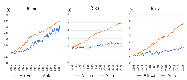 Fig. 2: Yield change for major grains over the years in Africa and Asia Source: Data from FAOSTAT