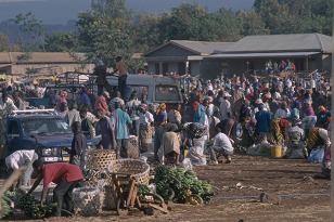 somewhere in Africa.JPG