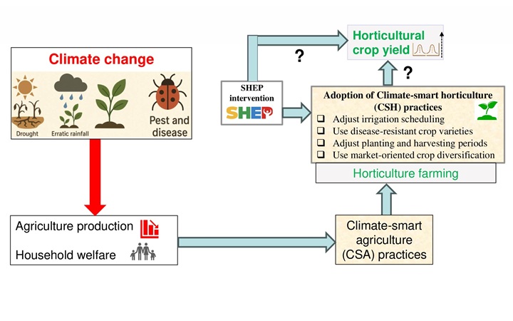 Impact of Adoption of Climate-smart Practices on Horticulture Yield ...