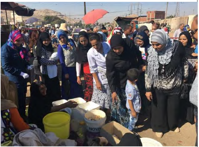 Market survey for women in Assiut