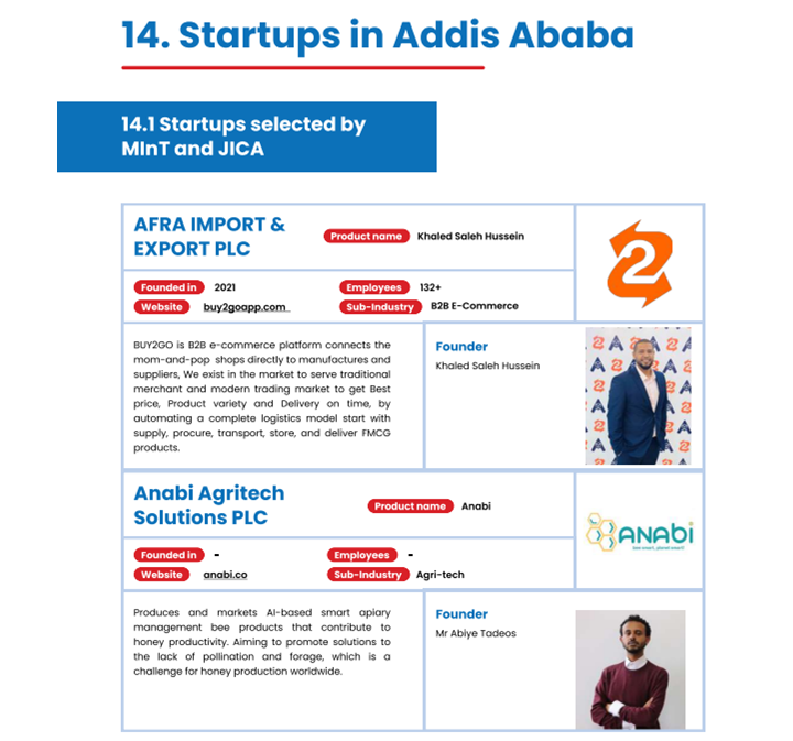 300 Startups list of Addis Ababa (Excerpt) 