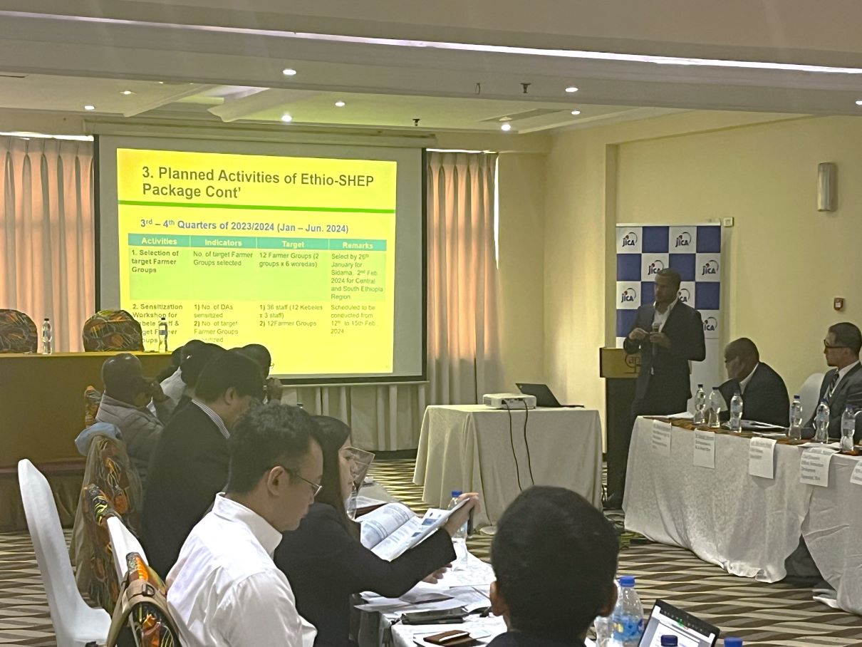 Mr. Abdella Negash, Chief Executive Officer, Horticulture Development  Department, Ministry of Agriculture, explaining the planned activities of Ethio-SHEP package.