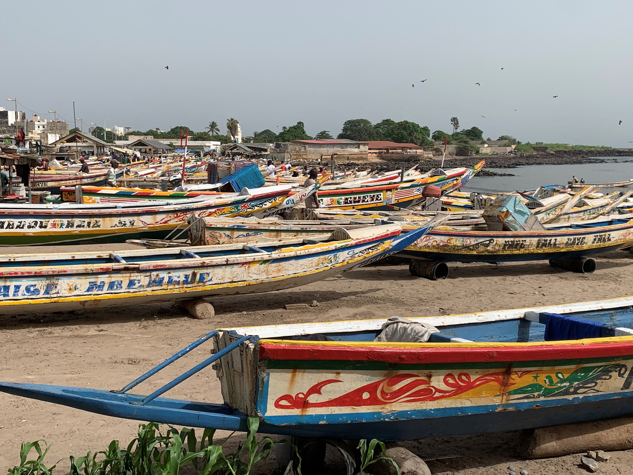 Senegal