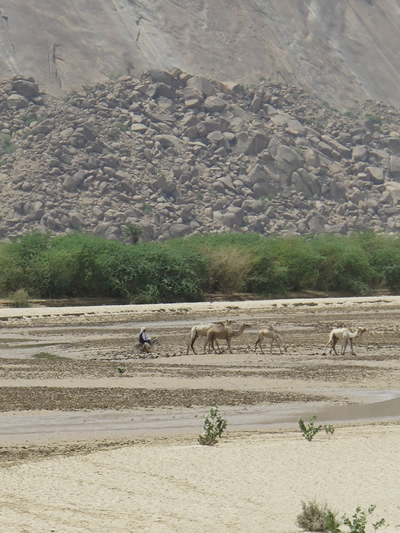 A traditional landscape near Kassala