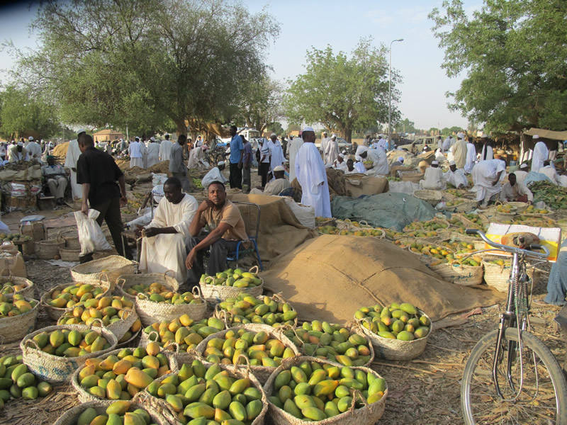 The fruit market in Kassala