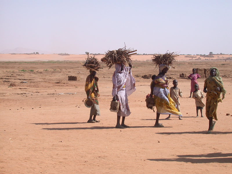 Displaced persons in Darfur/WFP