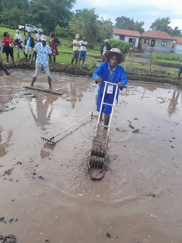 Performing paddy field construction.