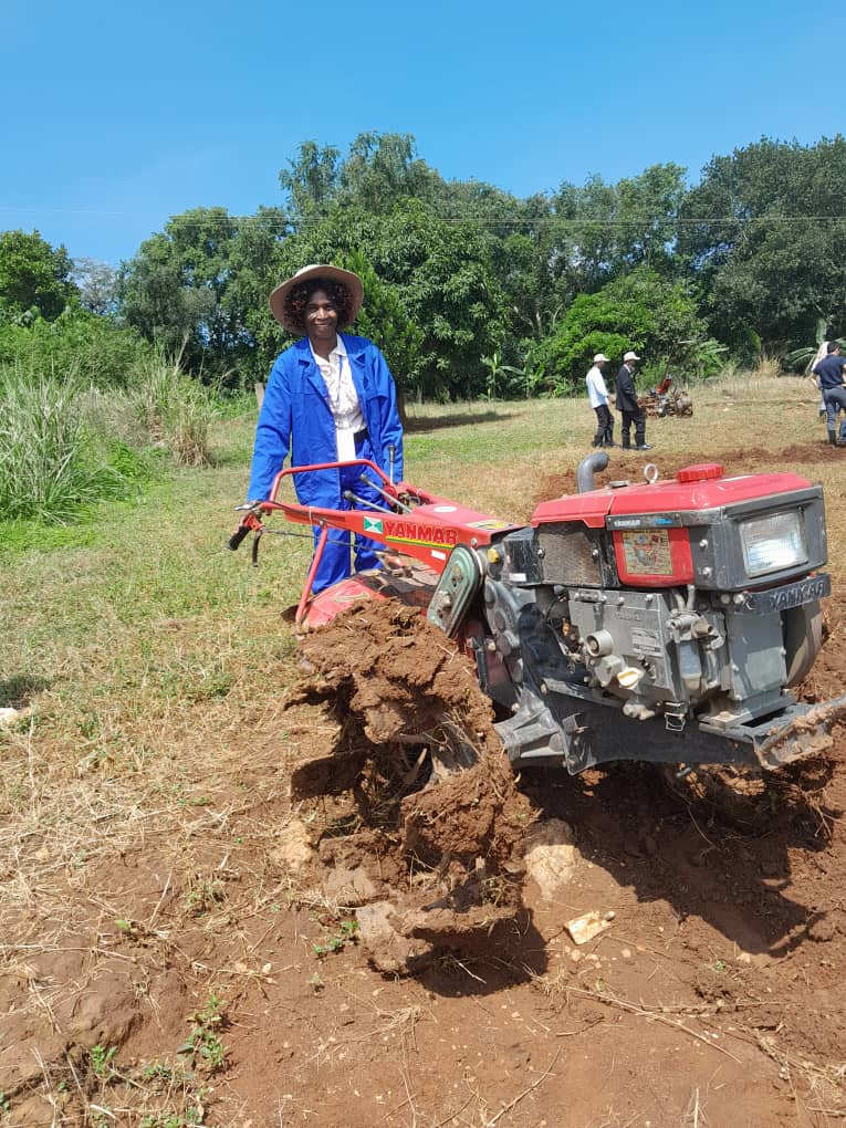 Land preparation using a small  diesel-hand controlled machine.