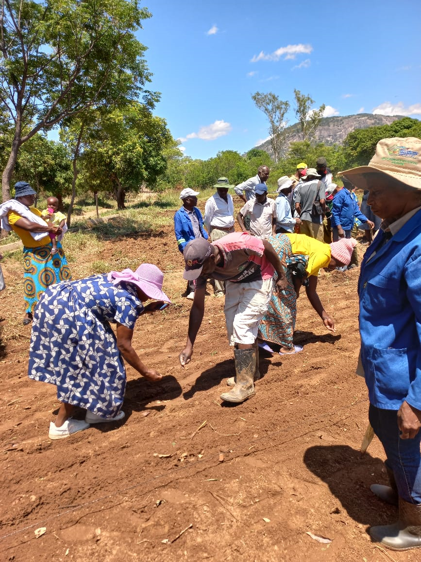 Farmers doing practical training under the guidance of Dr. Tsuboi