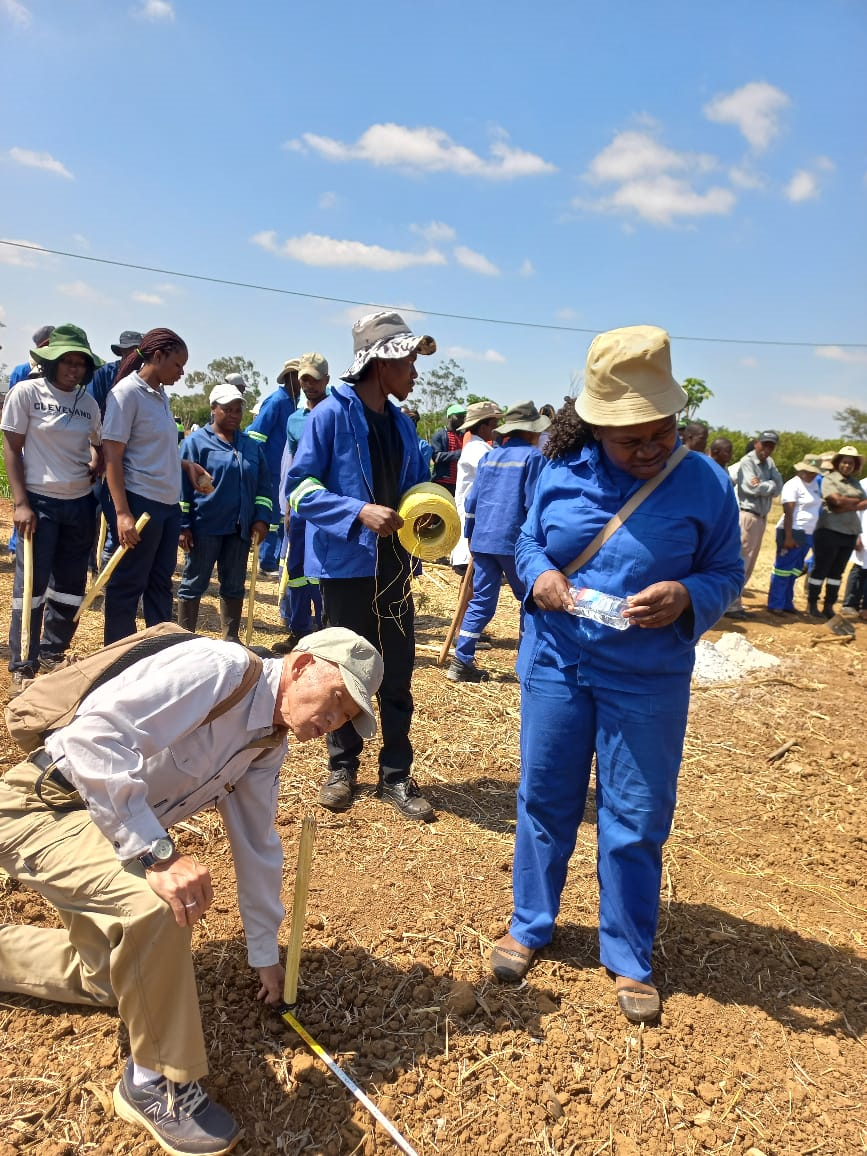 Dr. Tsuboi demonstrating field for measurements for rice planting