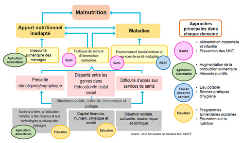 Causes de la malnutrition et approche de la JICA