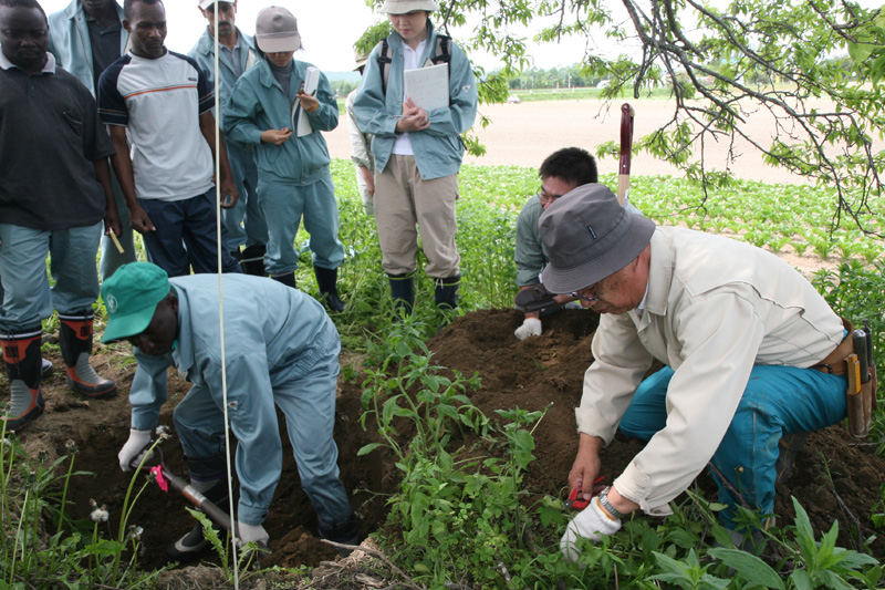 Instructeur japonais et stagiaires agricoles à Hokkaido