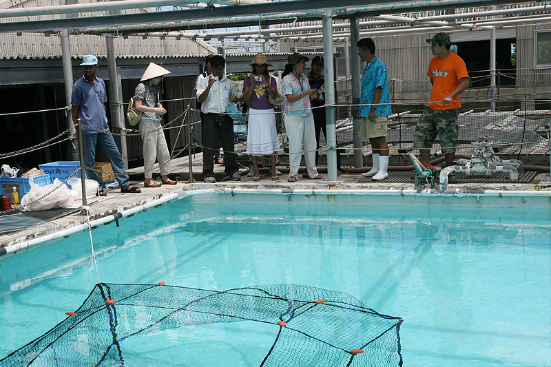 Des stagiaires visitent un centre de recherche halieutique à Okinawa.