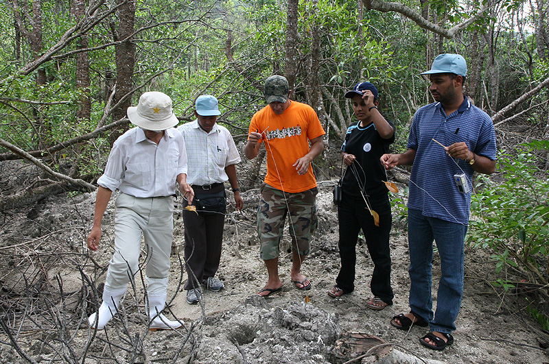 Apprendre comment vit la mangrove.