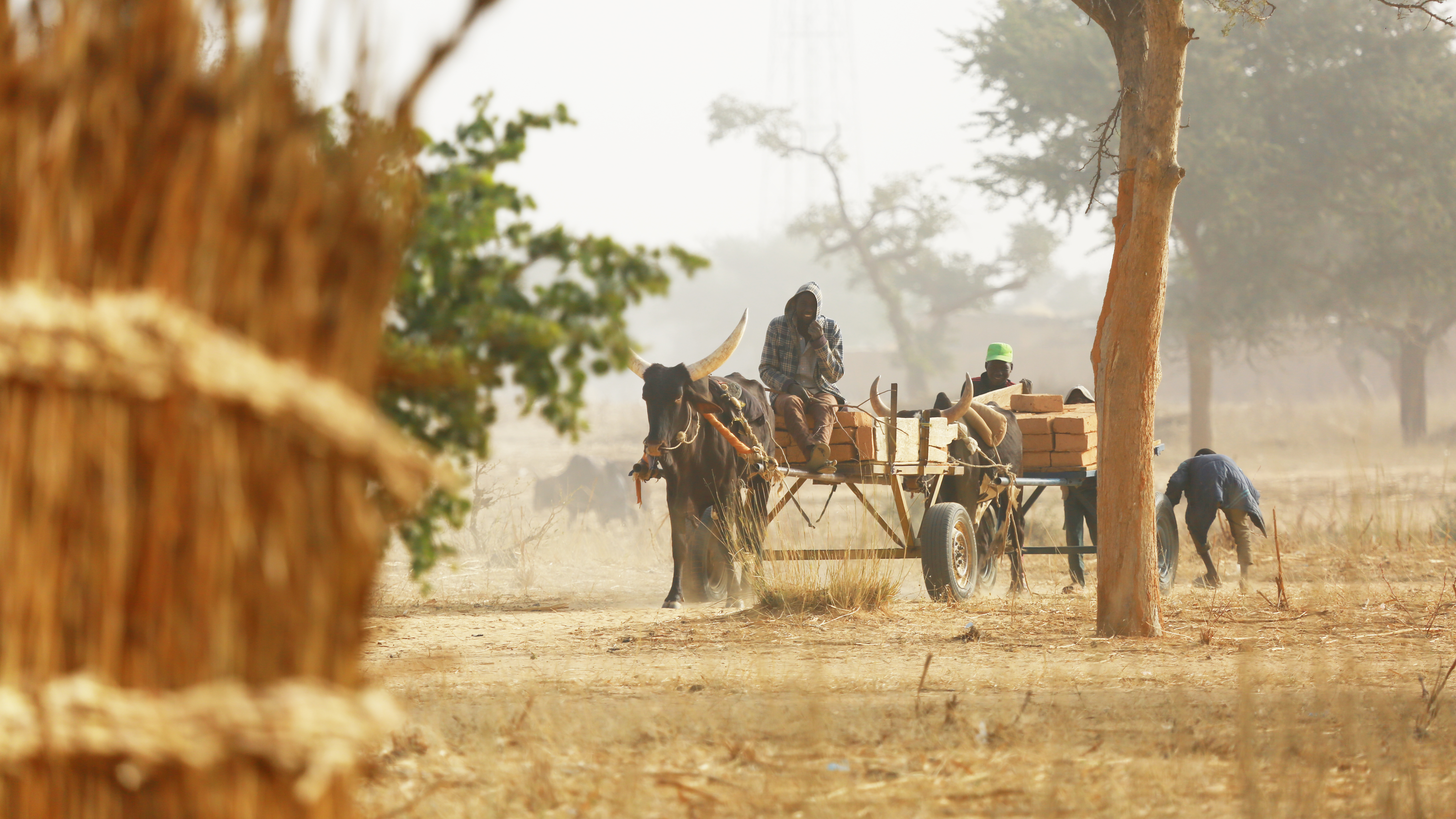 Niger