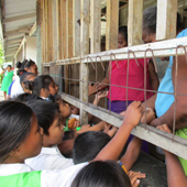 キリバスの食の二面性 世界hotアングル Jica