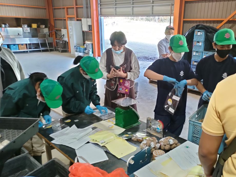 本邦研修時　カレッジ教員が士幌高校農業実習に参加
