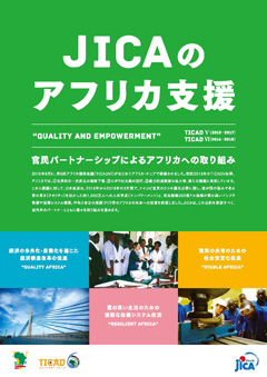 パンフレット「JICAのアフリカ支援　“QUALITY AND EMPOWERMENT”　官民パートナーシップによるアフリカへの取り組み　TICAD V（2013～2017）TICAD VI（2016～2018）」の表紙