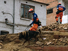 救助犬と共に捜索を進める救助チーム隊員。この地区では、レンガ積みの建物は完全に倒壊してしまっていた