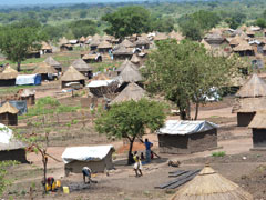 アジュマニ県のボロリ居住区。白いテントと住居が混在しているのが難民居住区の特徴だ