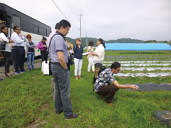 2015年に福島県いわき市で行われた研修。オーガニックコットン畑を見学した