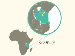 タンザニア