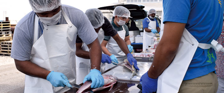 漁業研修で釣った魚をさばく研修員たち。この魚を材料に、それぞれの国や地域の伝統料理を作った