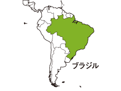 ブラジル