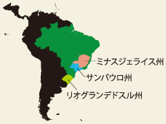 ミナスジェライス州、サンパウロ州、リオグランデドスル州