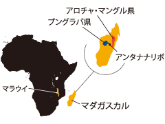 マラウイ、マダガスカル（アロチャ・マングル県、ブングラバ県、アンタナナリボ）