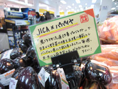 日本人のお客さんが多いことから日本語のポップを用意