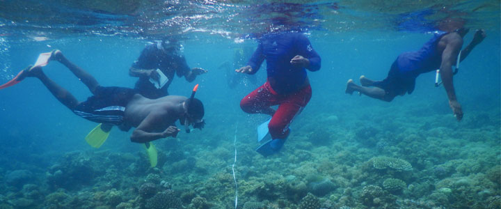 海に潜ってサンゴなど海中生物を調査するのも田丸さんの活動だ。潜っているのは海洋公園で働く同僚たち。