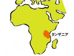 タンザニア