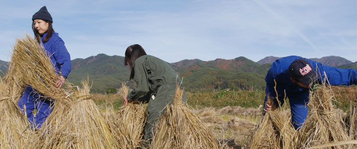 駒ケ根訓練所近くの農家で、所外活動の農作業をする候補者たち。