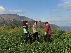 豊かな自然と穏やかな暮らしができる十島村。キャッチフレーズは「刻（とき）を忘れさせる島　吐噶喇（トカラ）」。五感が解放されるような空間が広がる。