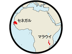 セネガル、マラウイ