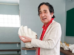 90年モノとされるシャコガイの貝殻。