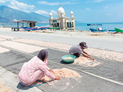 津波被害の大きかった海岸沿いで干しエビを作る女性たちは「先祖代々この仕事を続けている。この土地から離れたくない」と語る。こうした住民の声をくみ取ることが、復興で重要となる。
