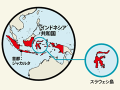 インドネシア共和国　首都：ジャカルタ、スラウェシ島