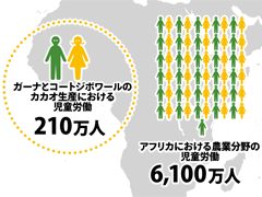 カカオ生産地の児童労働