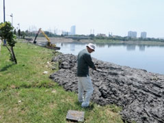 第1処理区の処理水が放流される洪水調整池。