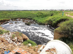 下水処理場の建設予定地。現在、湖には処理されていない排水が流れ込んでいる。