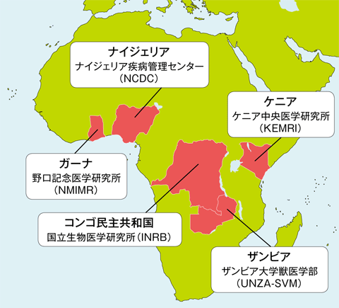 アフリカにおける感染症対策拠点ラボ