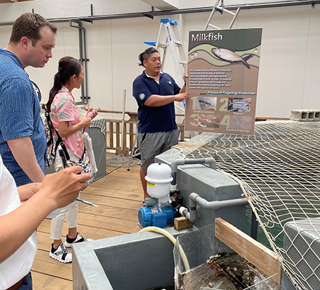 パラオで魚の養殖施設を見学する鷲足さんら調査団