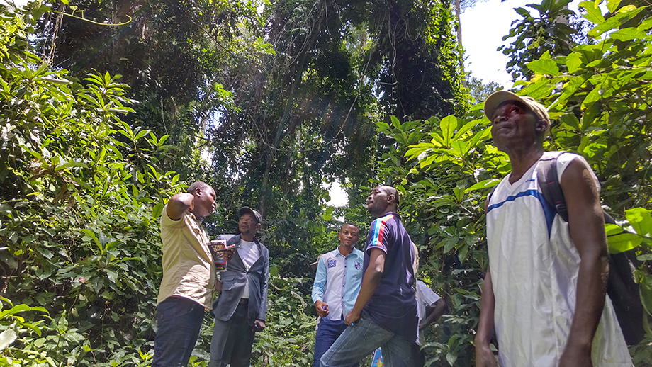 【COP特集・2】持続可能な森林管理で地球を守る コンゴ民主共和国の森林保全プロジェクト