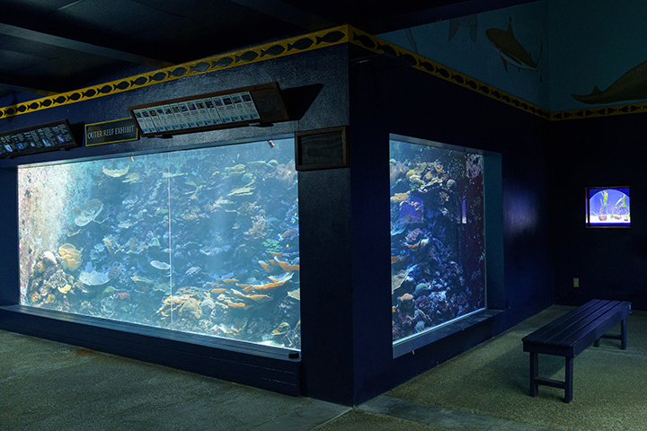 水族館のような水槽がある国際サンゴ礁センター