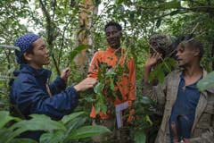 Participatory Forest Management Project in Belete-Gera, Ethiopia