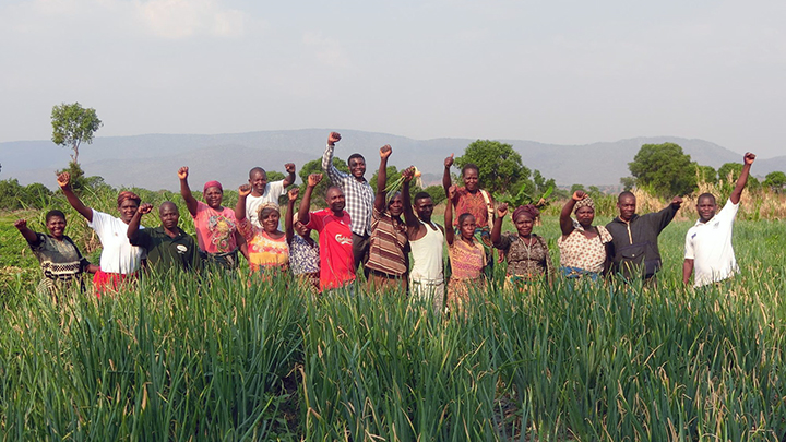 Blog “Food Security and Agricultural Development in Light of Africa’s Development” (2): Employment Creation for Younger Generations