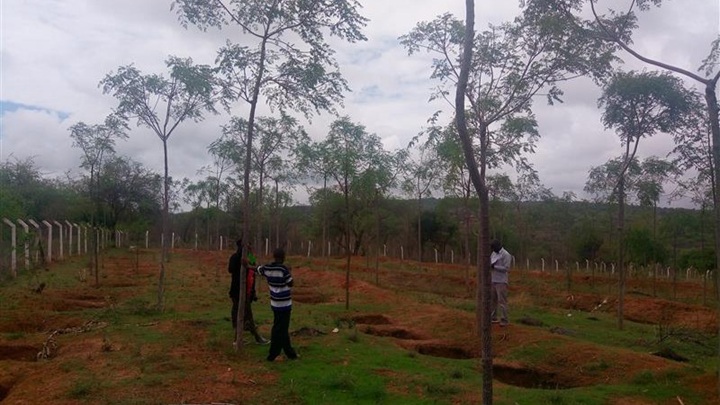 写真：農家による育林活動
